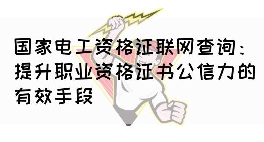 国家电工资格证联网查询：提升职业资格证书公信力的有效手段