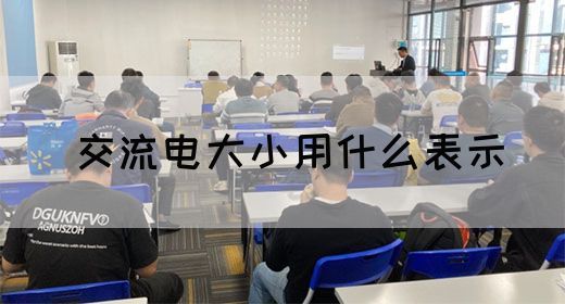 【交流电】交流电大小用什么表示