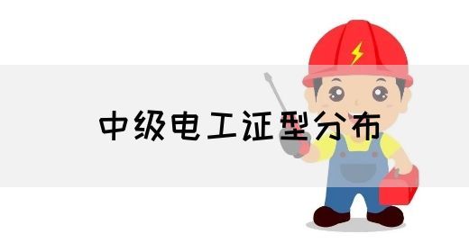 中级电工证型分布