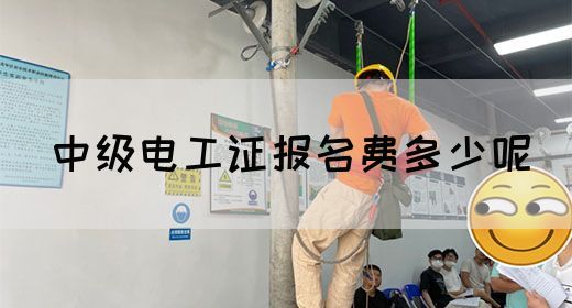 中级电工证报名费多少呢