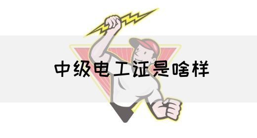 中级电工证是啥样