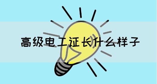 高级电工证长什么样子(图1)