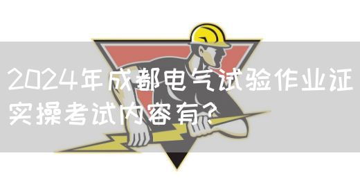 2024年成都电气试验作业证实操考试内容有？