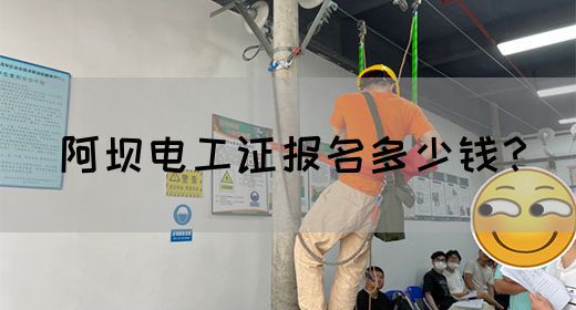 阿坝电工证报名多少钱？