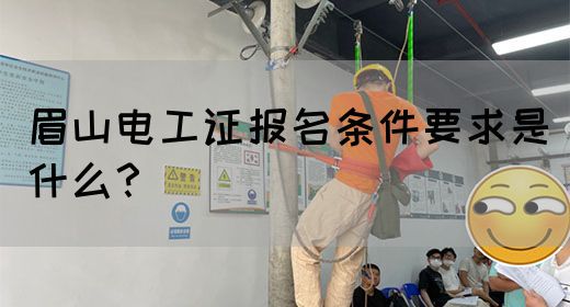 眉山电工证报名条件要求是什么？