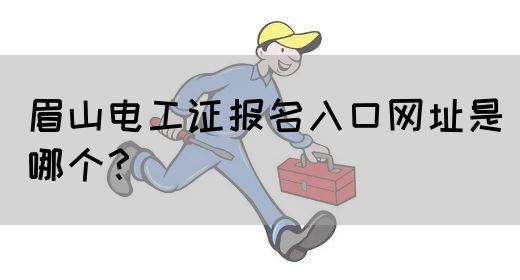 眉山电工证报名入口网址是哪个？